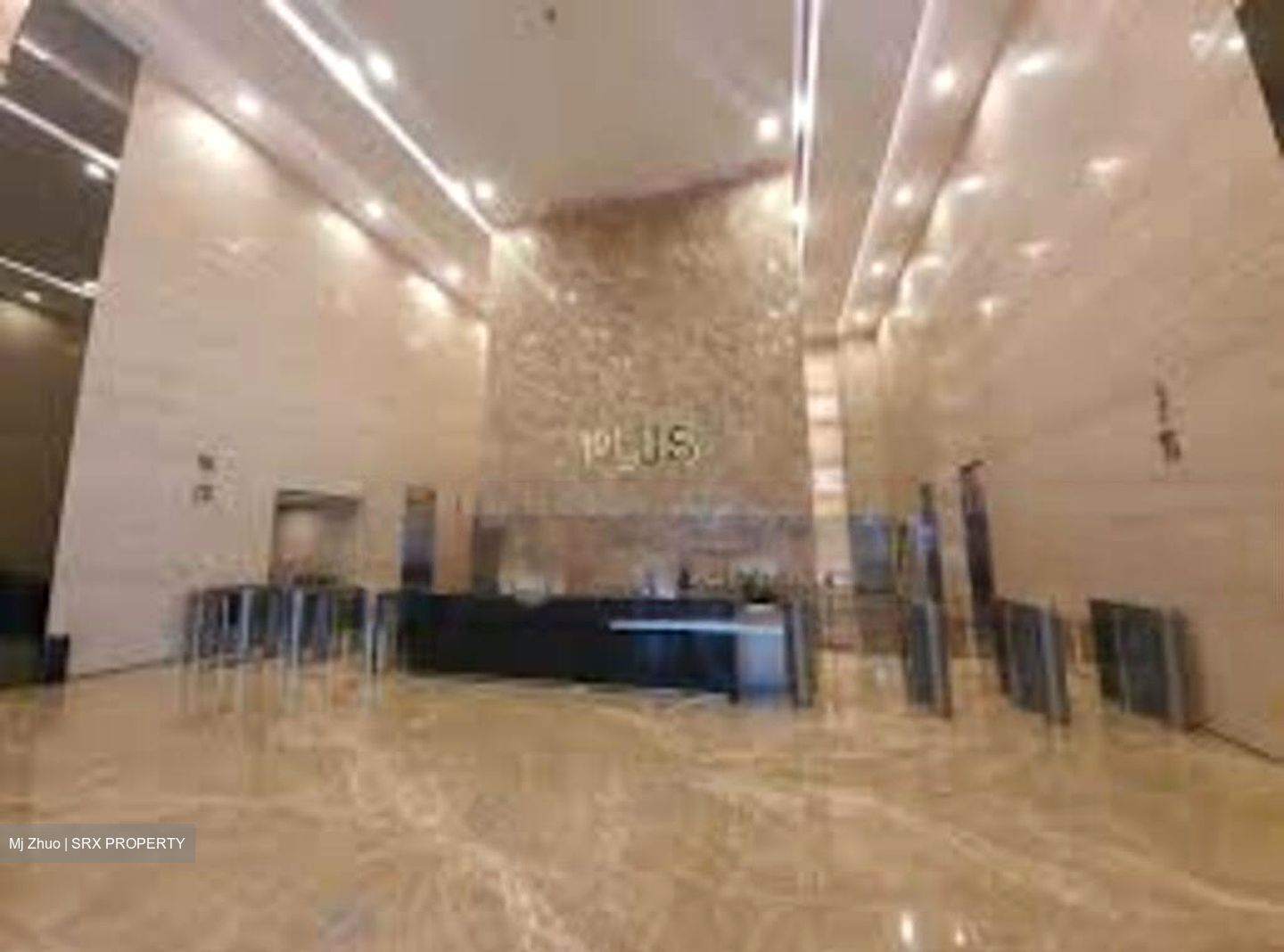 PLUS (D1), Office #457874011